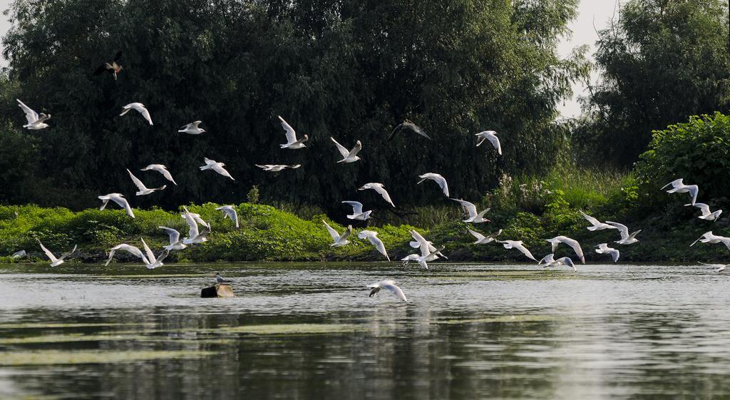 Vila Delta Travel - Mila 23 Mila Douăzeci şi Trei エクステリア 写真