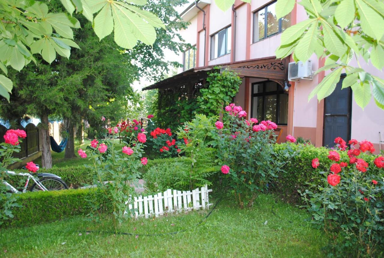 Vila Delta Travel - Mila 23 Mila Douăzeci şi Trei エクステリア 写真