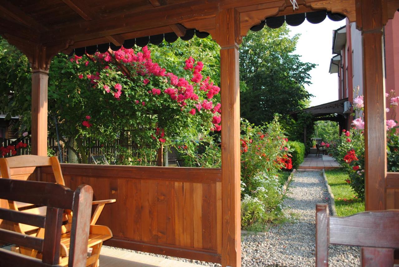 Vila Delta Travel - Mila 23 Mila Douăzeci şi Trei エクステリア 写真