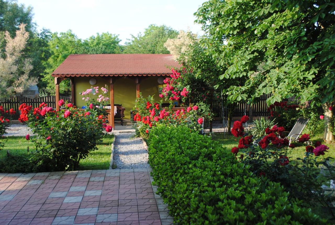 Vila Delta Travel - Mila 23 Mila Douăzeci şi Trei エクステリア 写真