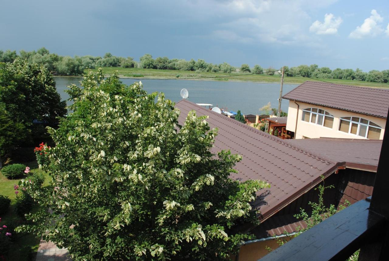 Vila Delta Travel - Mila 23 Mila Douăzeci şi Trei エクステリア 写真