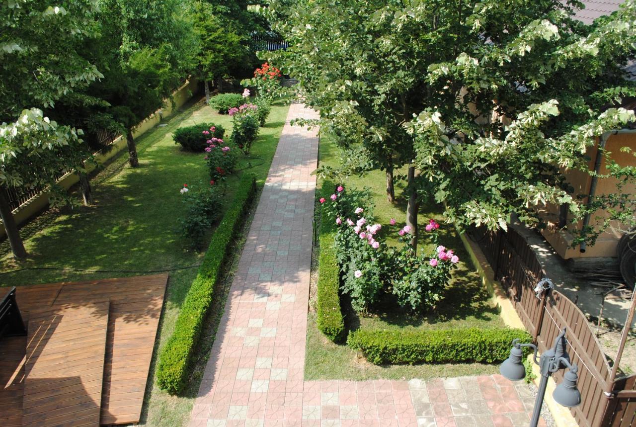 Vila Delta Travel - Mila 23 Mila Douăzeci şi Trei エクステリア 写真