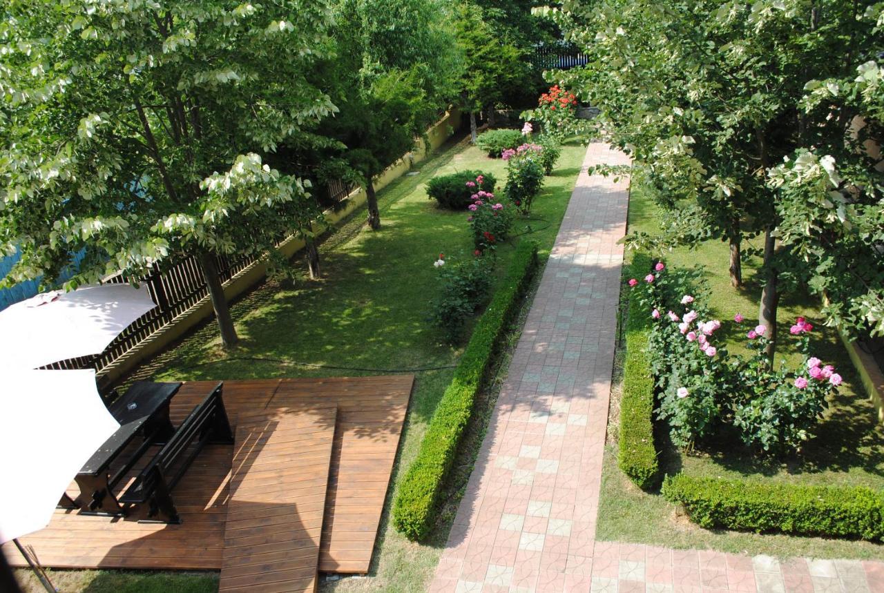 Vila Delta Travel - Mila 23 Mila Douăzeci şi Trei エクステリア 写真
