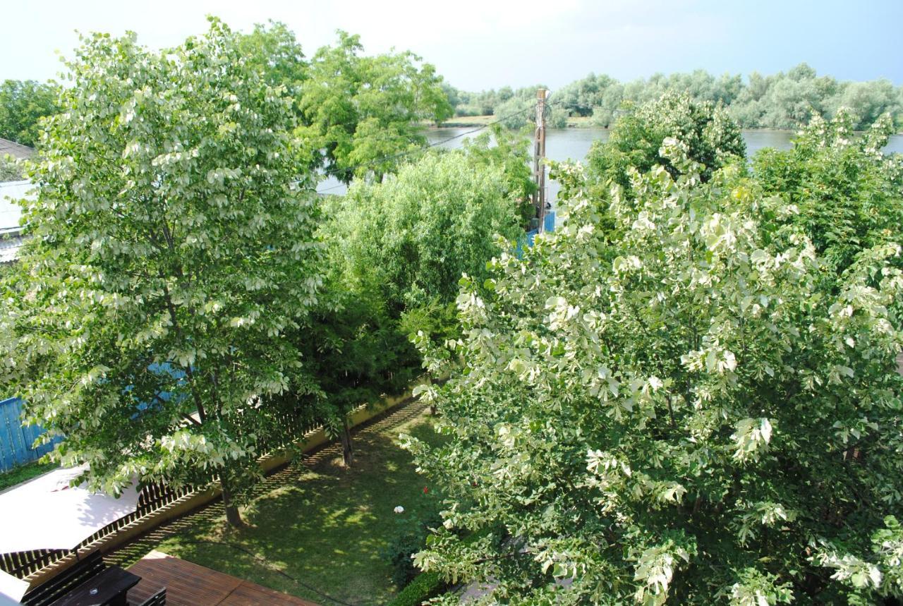 Vila Delta Travel - Mila 23 Mila Douăzeci şi Trei エクステリア 写真
